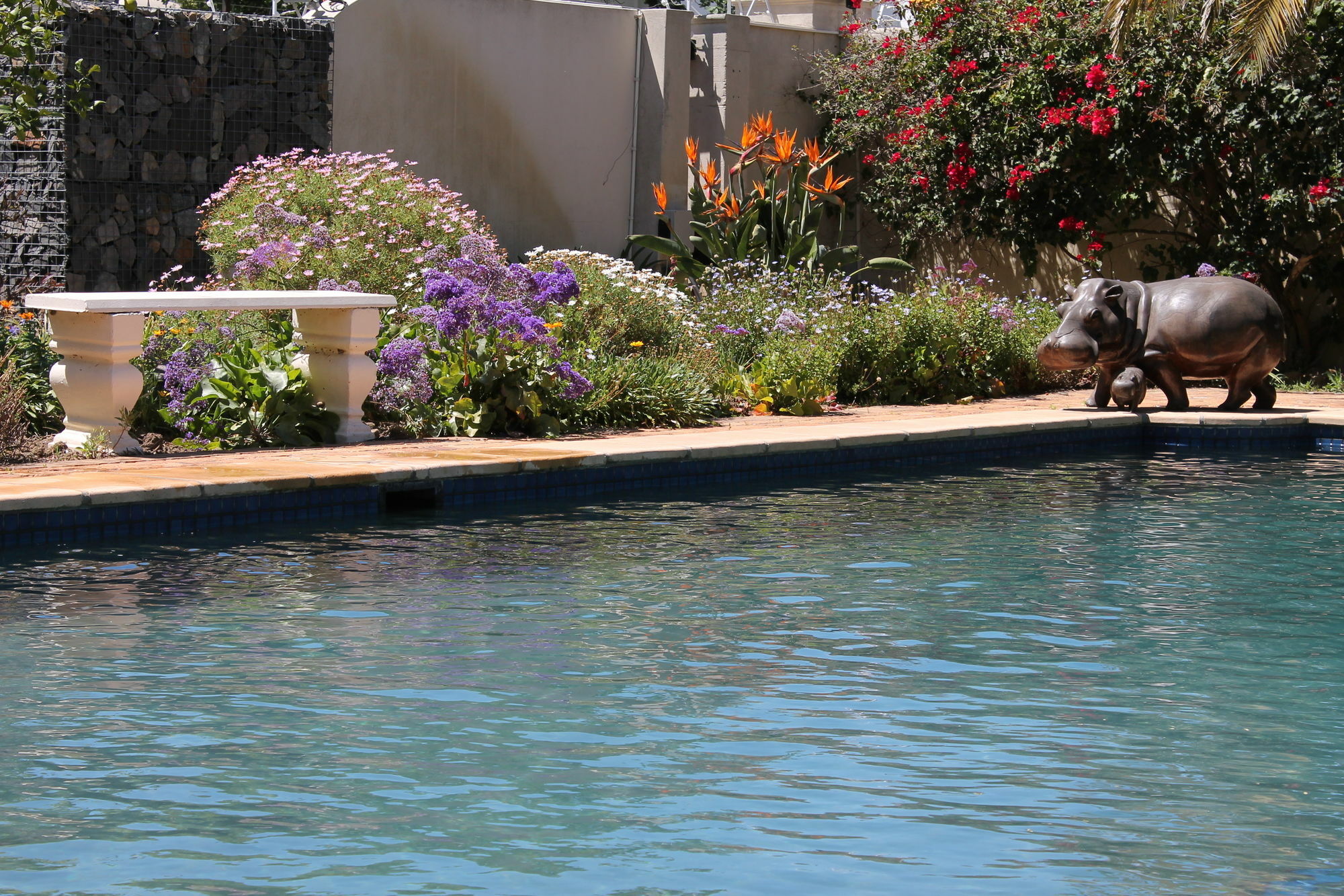 סומרסט ווסט Stellendal Guest House מראה חיצוני תמונה